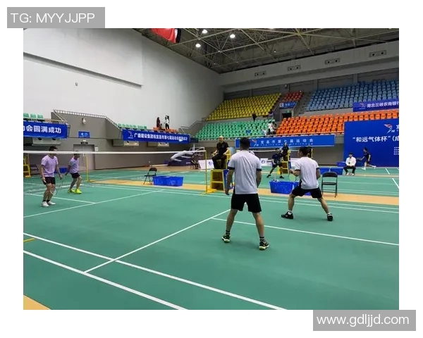 南京羽毛球队的崛起与发展聚焦羽毛球运动的力量与激情