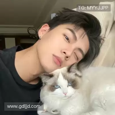 陈泉晶